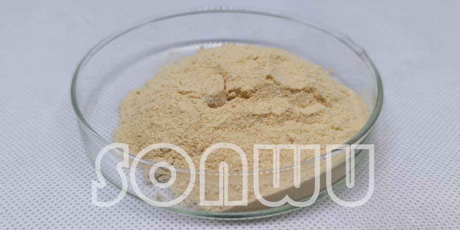 Epicatechin powder 2