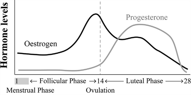 Clomiphene citrate powder estrogen and serum progesterone levels Clomiphene citrate powder estrogen and serum progesterone levels