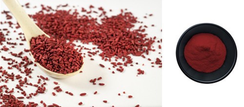Red yeast rice extract
