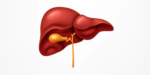 Hepatotoxicity