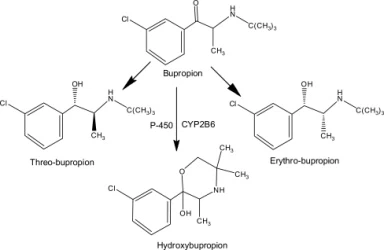 Bupropion Class