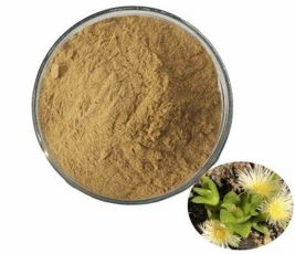 Kanna Extract Uses