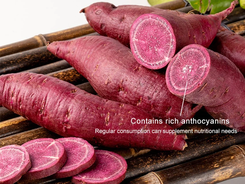 850-484Purple sweet potato-1